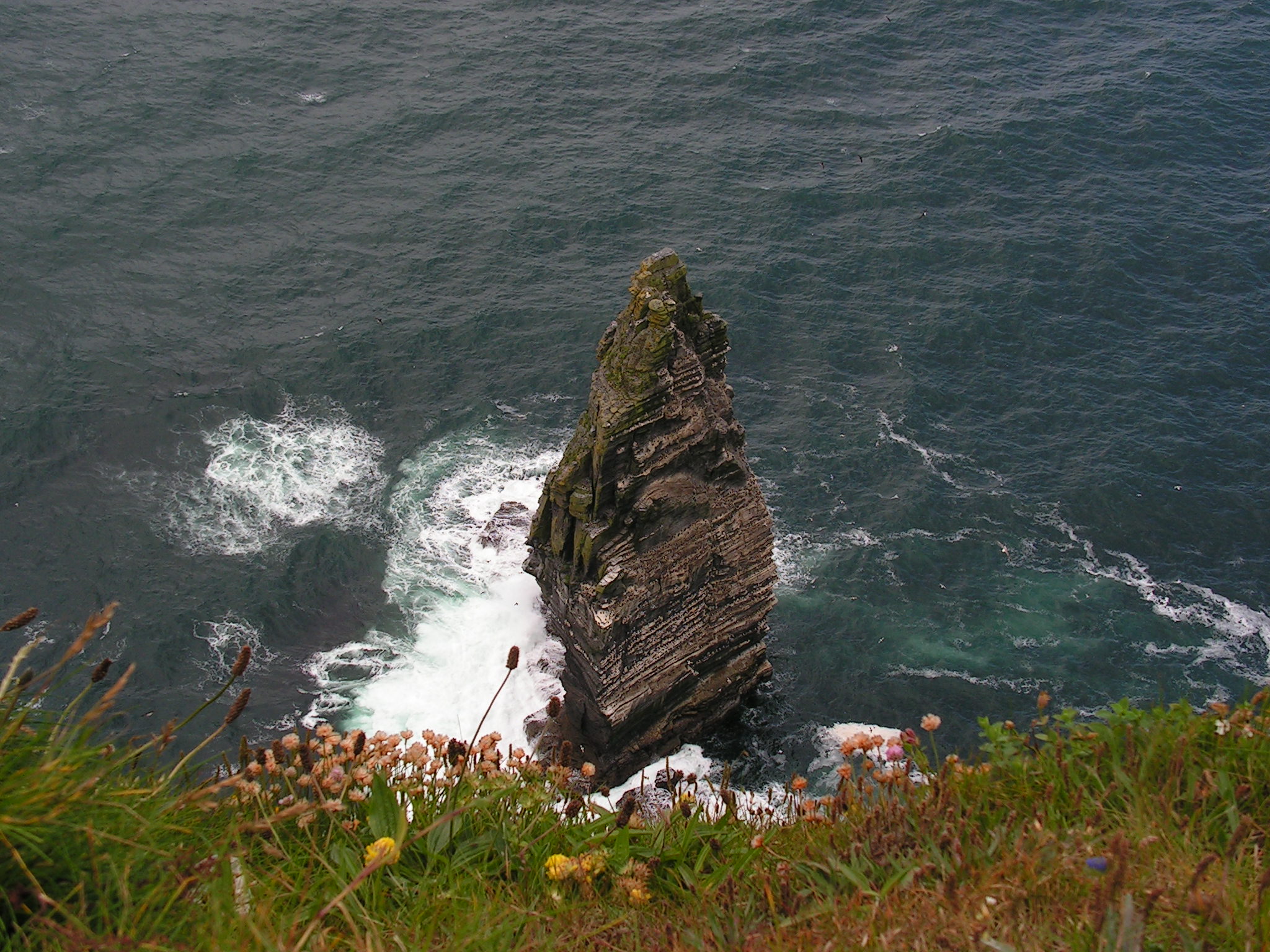 Cliffs of Moher7.JPG